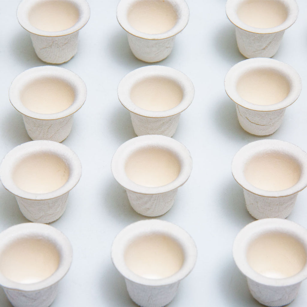 Paper Ink Caps Molded for Holding Tattoo Ink TATSoul