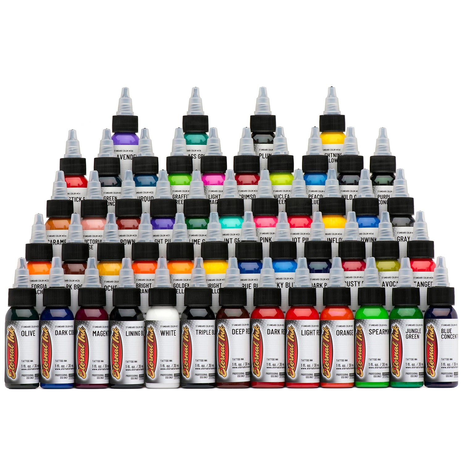Eternal Ink - Silver 50-Piece Tattoo Ink Set