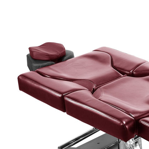Oxblood TATSoul 570 Wing Attachment.